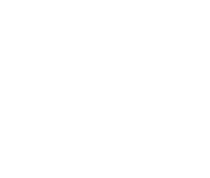 Camisetaimportadogrife